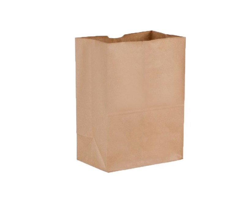 Small Paper Checkout Bag
