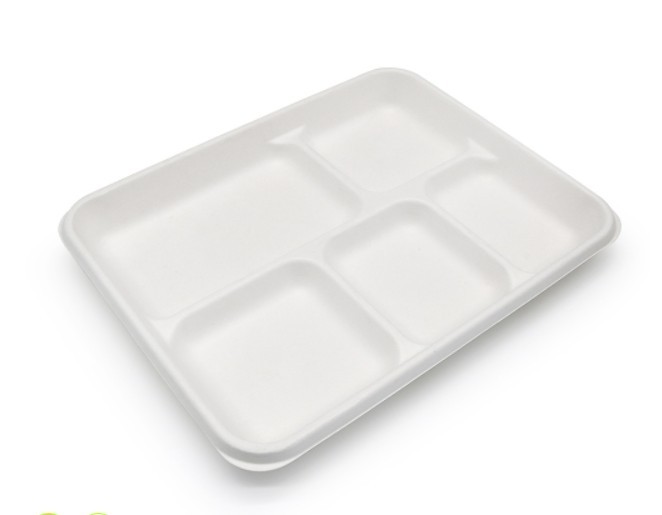 5C Square Sugarcane Plate 125 Pack