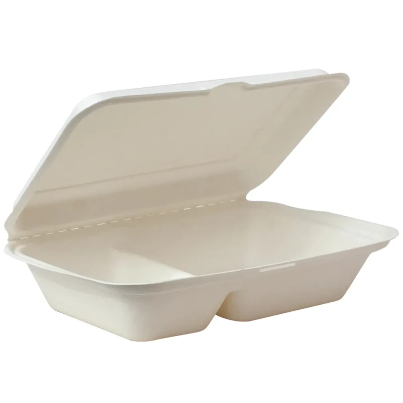 SC GC 2C Container 10x6x3 Inch 50 Pack